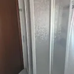 Silver *